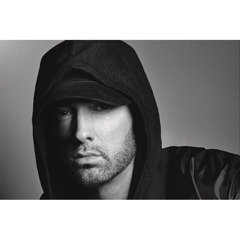 Πίνακας σε καμβά Eminem